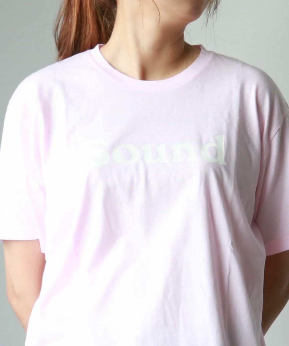 新品タグ付き【FLAVOR TEE フレーバーティー】ロゴTシャツ FLAVOR TEE（フレーバーティ） フレバーティー Tシャツ ロゴT