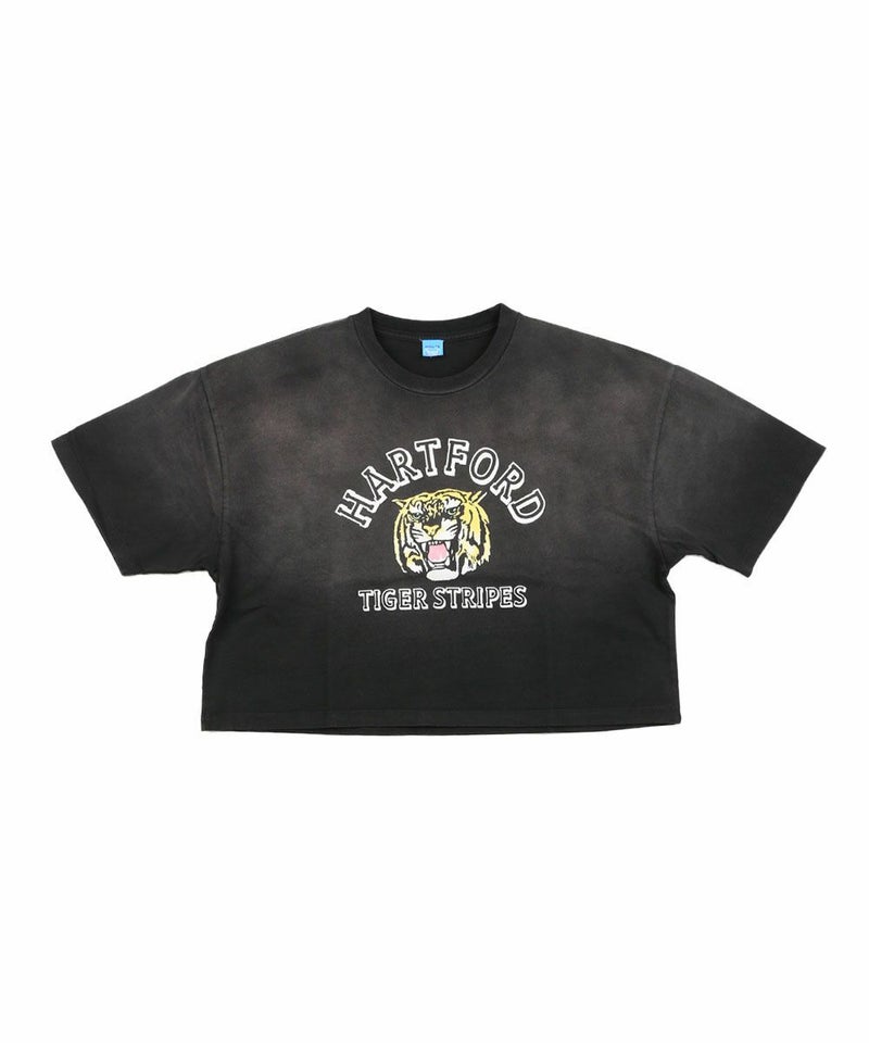 ブラックC(C-BLK)