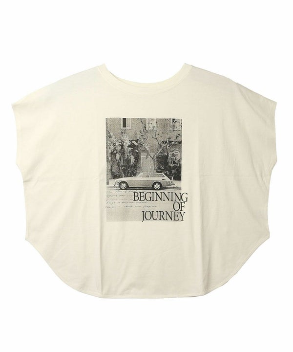 アイボリー(IVO)