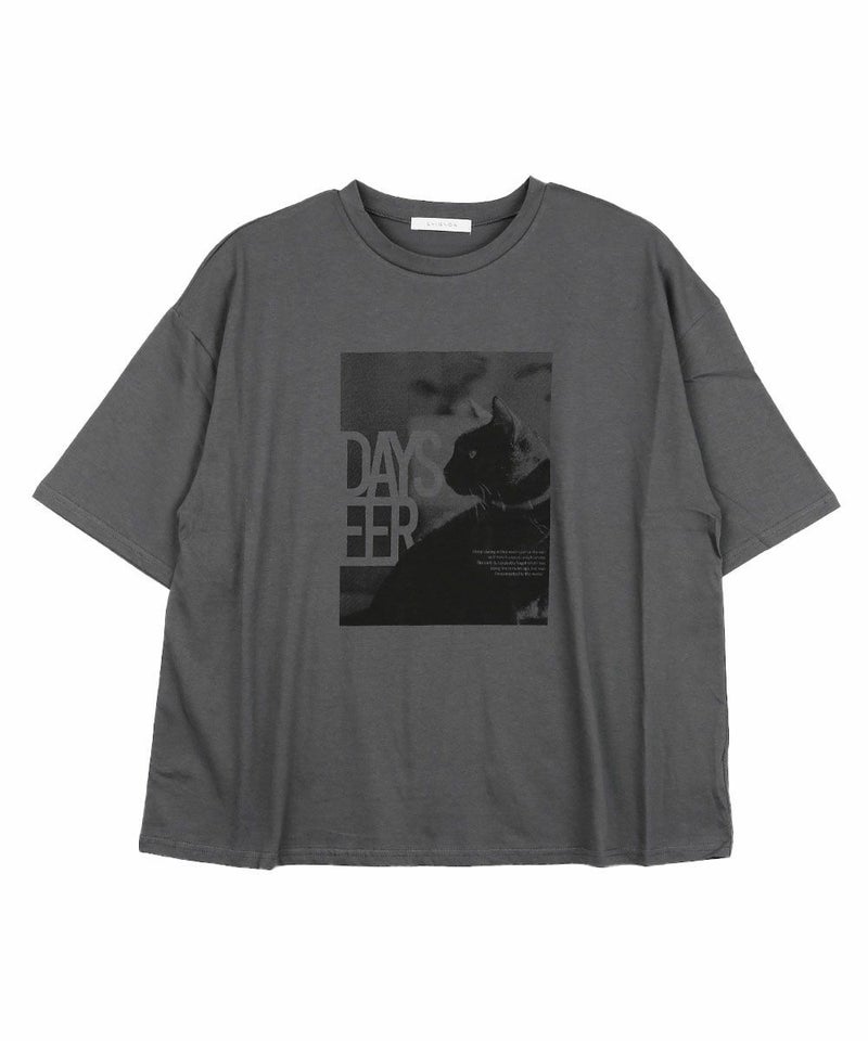 チャコール(CHA)