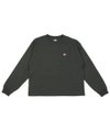 COAL GREY(COGRY)