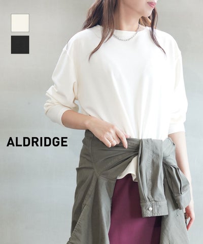 ALDRIDGE(アルドリッジ) ブラウス風インナーTシャツ