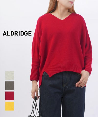 ALDRIDGE(アルドリッジ) コルキスドルマンVネック